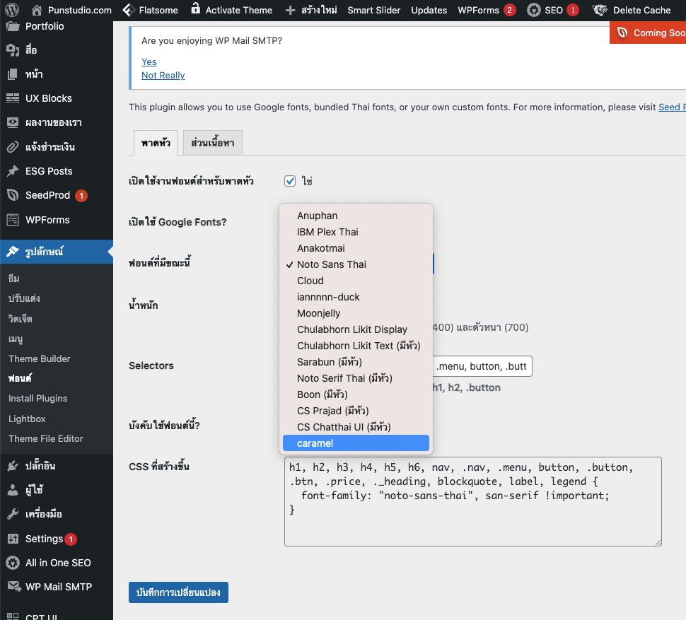 การใช้รูปแบบฟอนต์แบบ Custom ในเว็บ WordPress